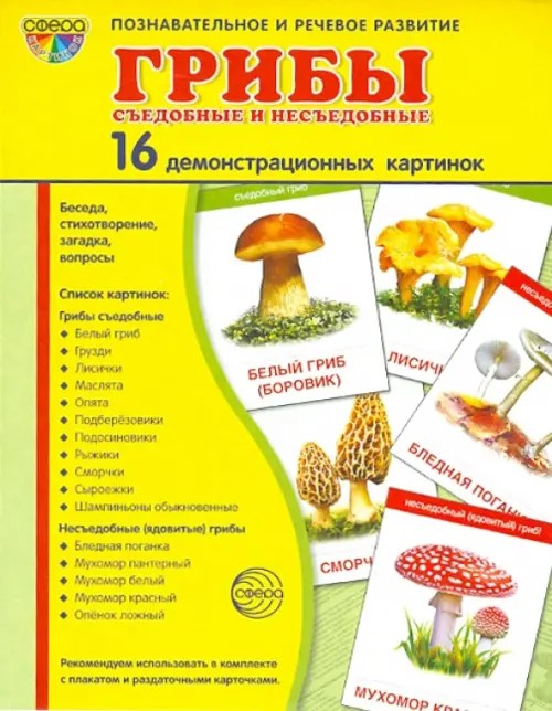 Грибы съедобные и несъедобные: 16 демонстрационных картинок