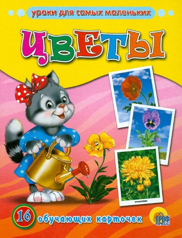 Обучающие карточки «Цветы»